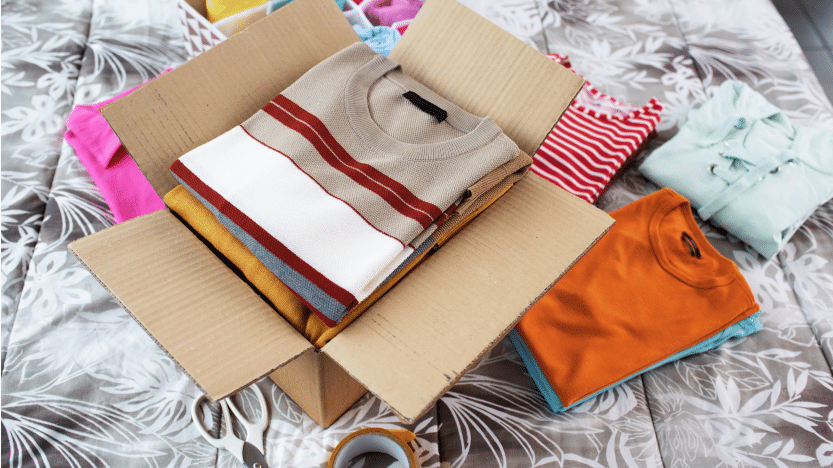 Read more about the article Choosing the Right Speed to Ship Clothes to Singapore
