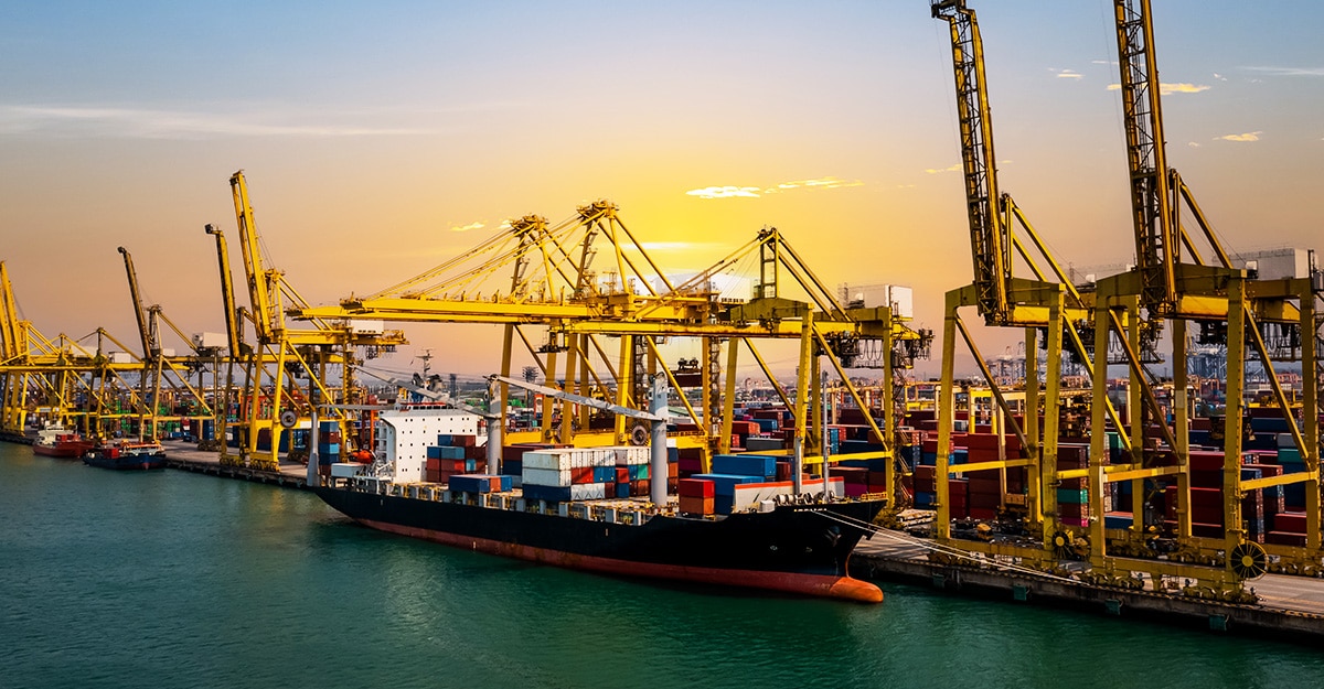 Read more about the article Difference Between Bulk and Break Bulk Cargo